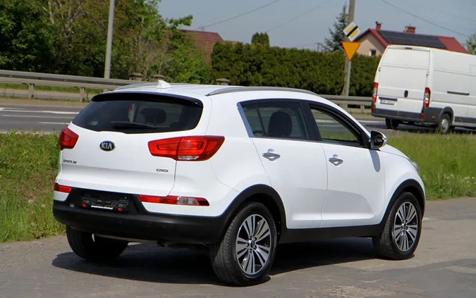 Kia Sportage cena 49900 przebieg: 103000, rok produkcji 2014 z Jedlina-Zdrój małe 29